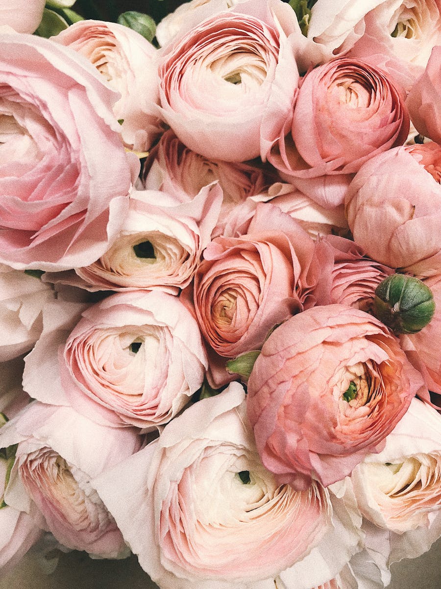 Floral Artistry — Sangam Flower Decoration